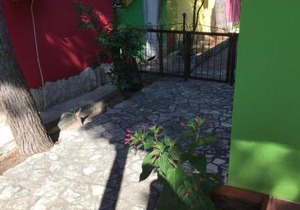 Villa Carla