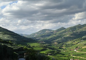 Villa di Cazzano - BioLuxury Living