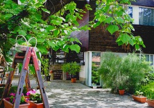 Villa "Forest way"