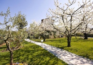 Villa Gesi - Apartment 2