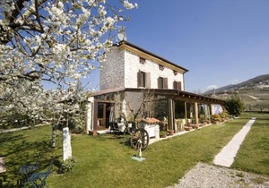 Villa Gesi - Apartment 5
