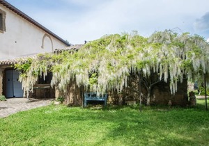 Villa "Maremma" with balcony and WiFi