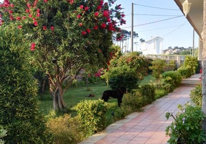 Villa Ortigueira B, Launched