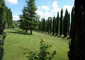 Villa Panconesi Standard CELLAR apartment