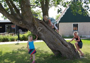 Villa Recreatiepark Wiringherlant 7