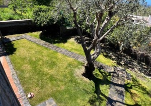 Villa Regine Apartments