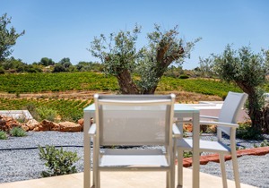 Villa Suite 13 - The Vines