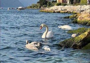 Villa Torre - Atmosfera Romantica