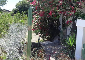 Villa Zoli z´oiseau - Holiday House with pool in Cap Malheureux