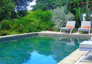 Villa Zoli z´oiseau - Holiday House with pool in Cap Malheureux