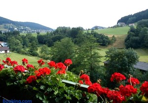 Waldblick Baiersbronn