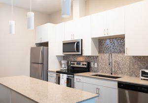 WanderJaunt | Vermilion | 1BR | Barton Creek
