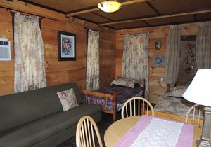 Waterfront cozy cabin on private trout lake