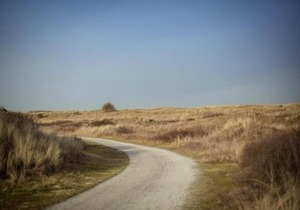 Weidevilla 14 auf Ameland