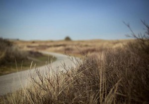 Weidevilla 14 auf Ameland