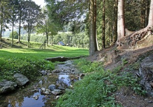 Wieselbau