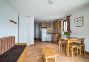 Wifi, ski-in/ski-out & foot of the slopes, fitness, swimming pool, terrace, balcony, parking, tv