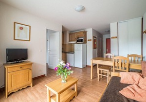 Wifi, ski-in/ski-out & foot of the slopes, fitness, swimming pool, terrace, balcony, parking, tv
