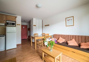 Wifi, ski-in/ski-out & foot of the slopes, fitness, swimming pool, terrace, balcony, parking, tv