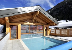 Wifi, swimming pool, sauna, terrace, balcony, ski locker, 51m², Châtel
