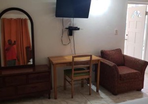 Wizzy Apartment Montego Bay