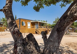 - Wood Mobil Home 5