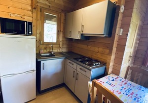 Wooden chalet for 4 people in a small holiday park in Ossenisse