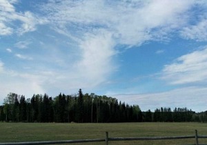 Woodhouse Cottages and Ranch - The Old Logbarn in Prince George