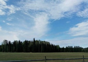 Woodhouse Cottages and Ranch - Corral Cottage