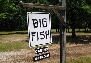 You will love this quaint cabin on Lake Sam Rayburn, Tx -#4