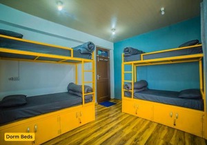 Young Monk Hostel & Cafe Dharamkot