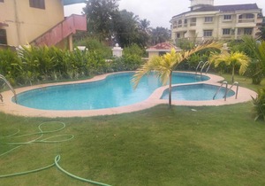 Zalor residency 2