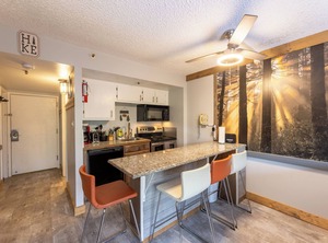 Renovated Slope Ski Slps | Snowshoe