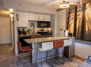 Renovated Slope Ski Slps | Snowshoe