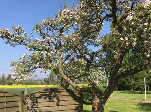 Haus Moinsen | Dahme