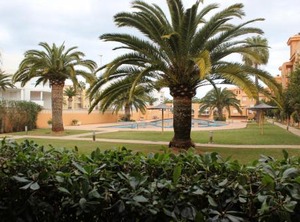 Palm Beach | Denia