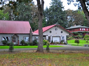 Christmas Tree Farm Oregon State University | Corvallis