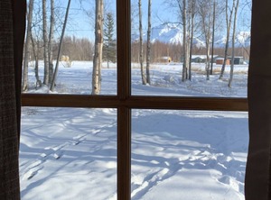 Ab | Wasilla