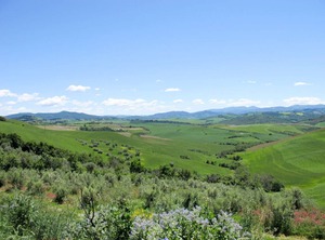 Podere | Pomarance
