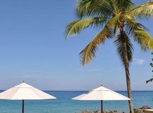 Resort Everything Cable | El Batey