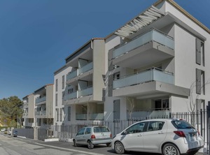 Bay | Cavaliere