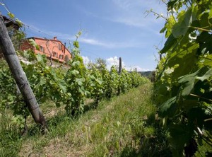 Agriturismo La Burlanda | Fosdinovo