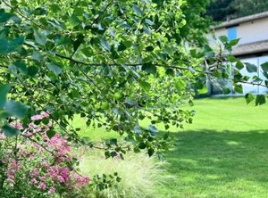 Agriturismo Cannelle Day Wellness | Fossombrone