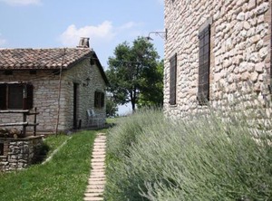 Agriturismo | Sassoferrato