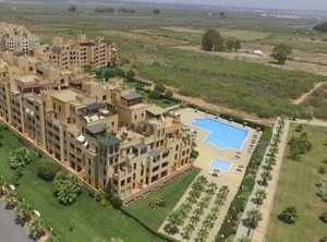 Albatros | Ayamonte