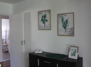 Garden | Santo Amaro