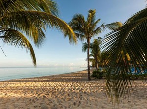 Allegro Cozumel | Costa Maya