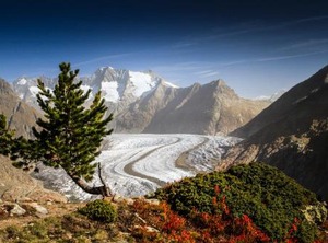 Alphütte Bielerhüs | Fiesch