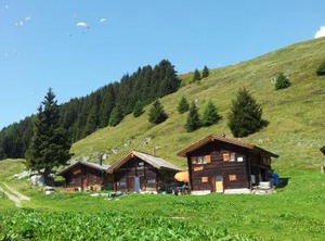 Alphütte Bielerhüs | Fiesch