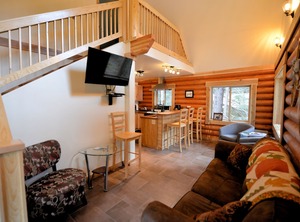 Alyeska Hideaway Log | Girdwood